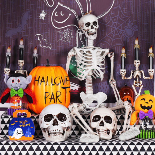 Halloween Decoration Full Size Skeleton Anatomy Model