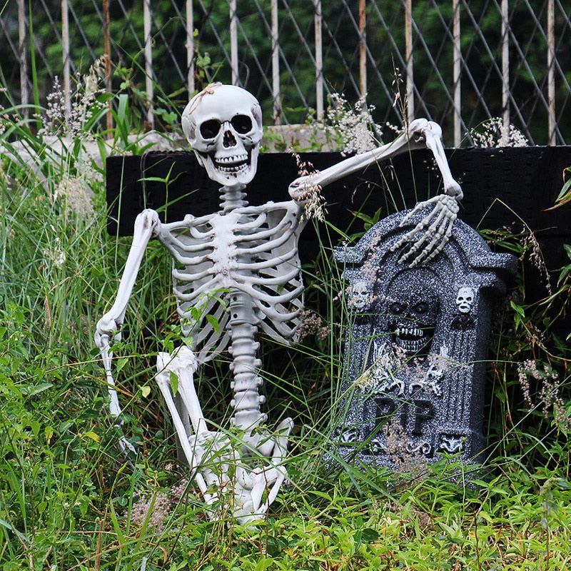 Halloween Decoration Full Size Skeleton Anatomy Model