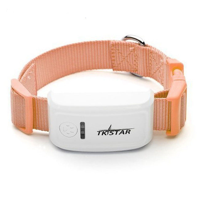 Real Time Pet GPS Tracker For Pet Dog/Cat - Everything all I want