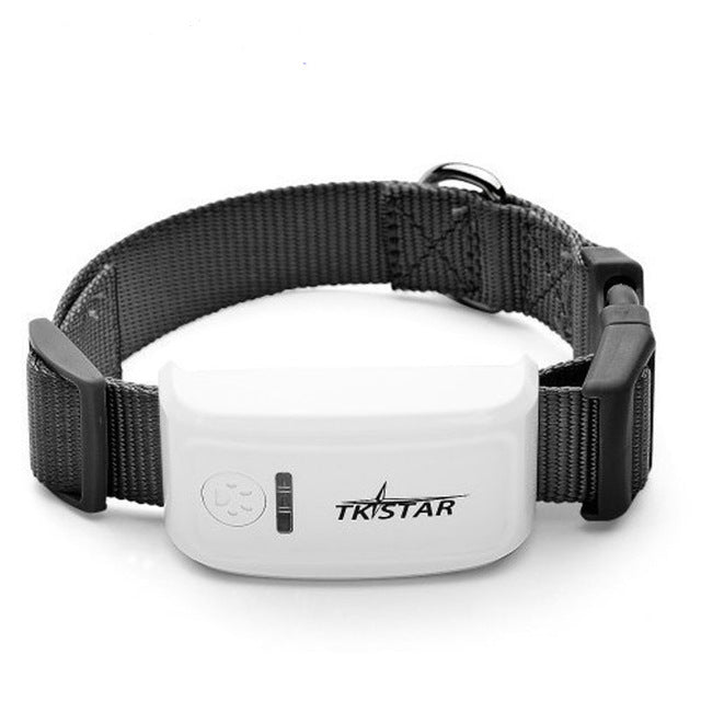 Real Time Pet GPS Tracker For Pet Dog/Cat - Everything all I want