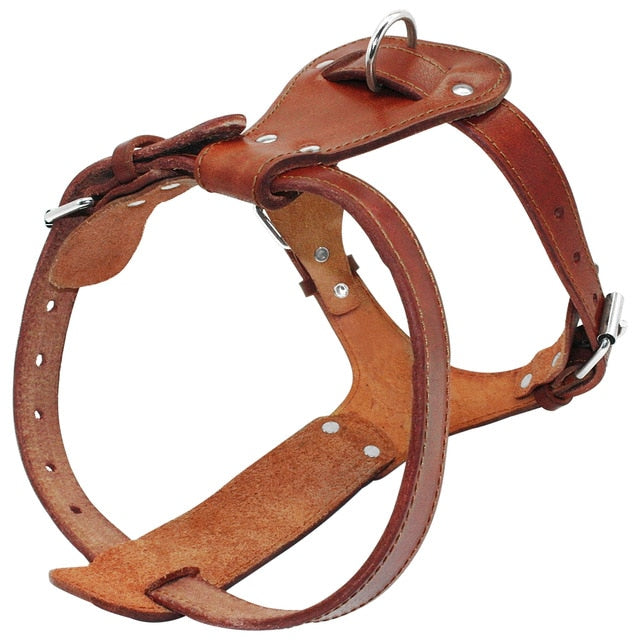 Genuine Leather Dog Harness - Everything all I want